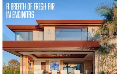 University Heights Mid-Century Modern Custom Home